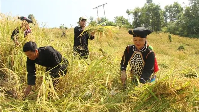 Những chính sách mới có hiệu lực từ tháng 12/2025